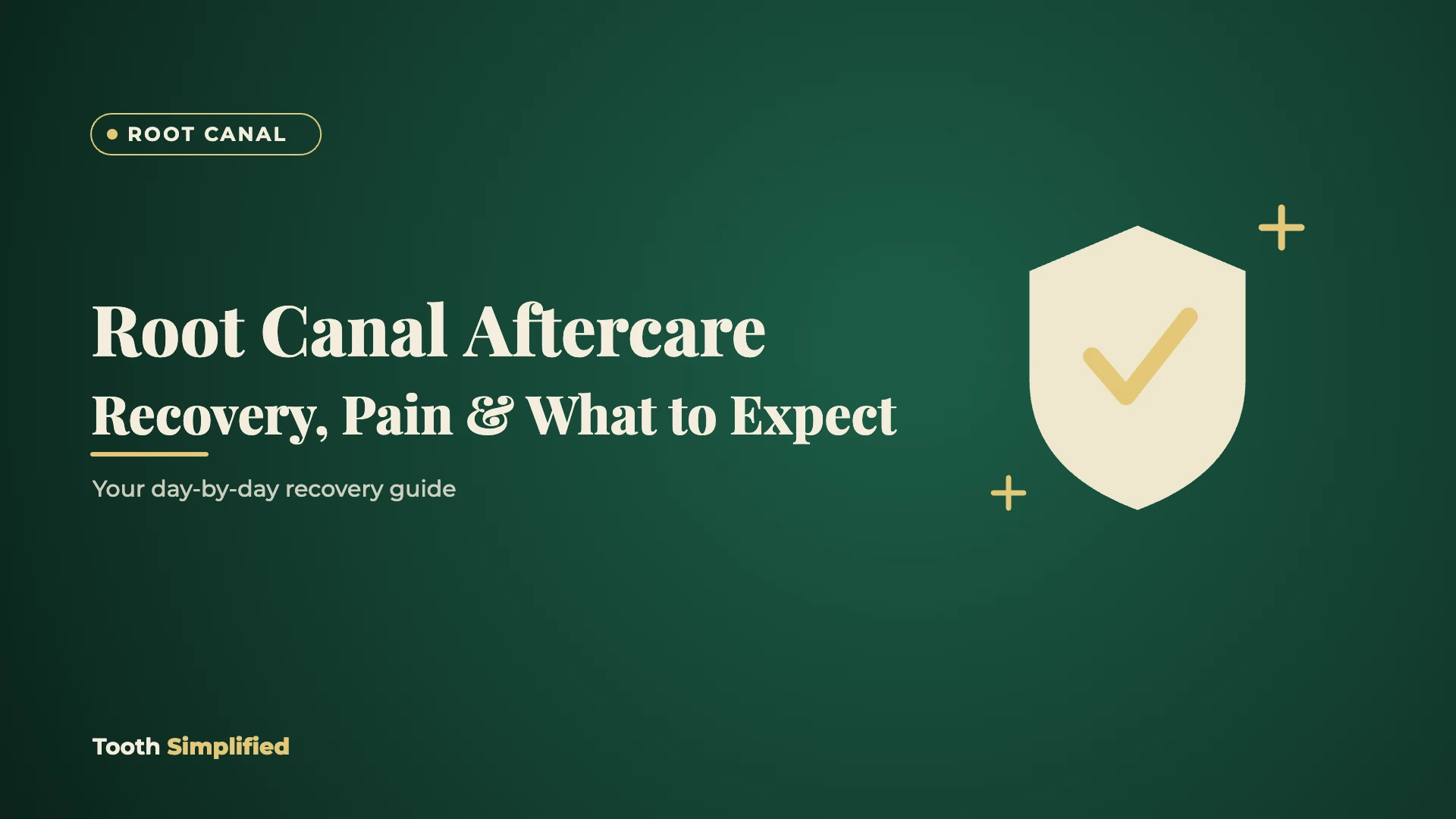 Root Canal Aftercare: Recovery, Pain and What to Expect (2026 Guide)