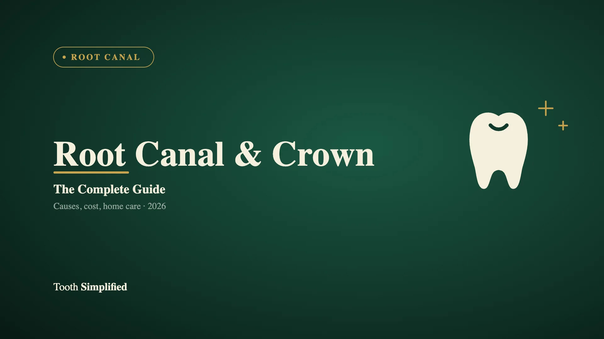Root Canal to Crown: Step-by-Step Timeline and Aftercare
