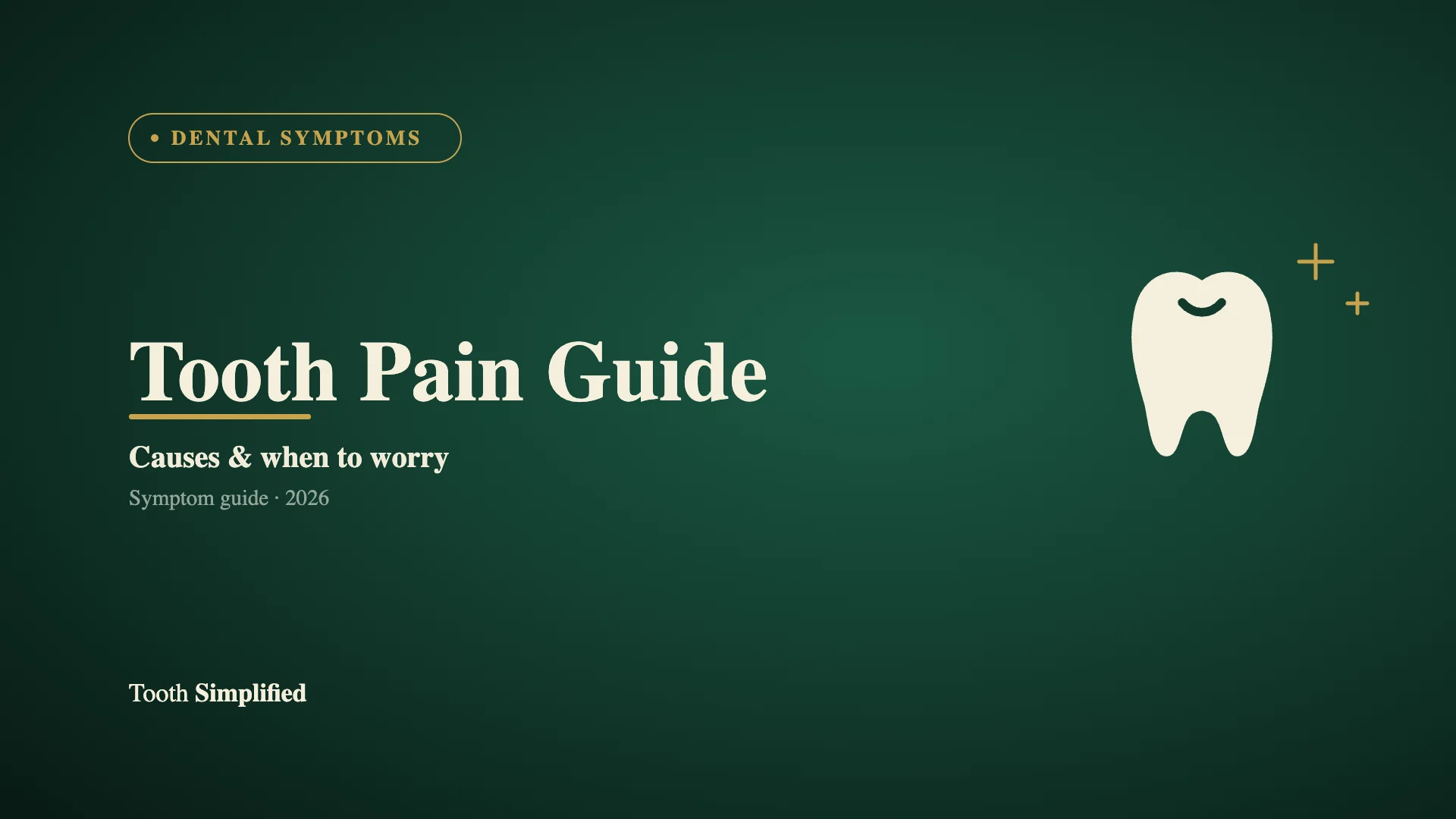 Tooth Pain Guide: Causes, Symptoms & When to See a Dentist